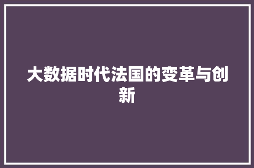 大数据时代法国的变革与创新