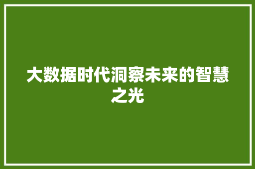 大数据时代洞察未来的智慧之光