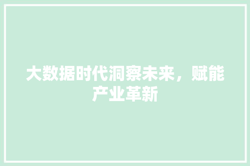 大数据时代洞察未来，赋能产业革新