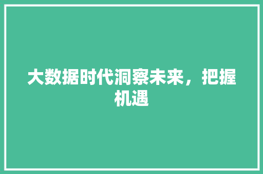 大数据时代洞察未来，把握机遇