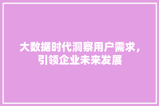 大数据时代洞察用户需求，引领企业未来发展