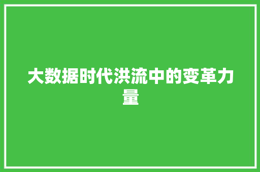 大数据时代洪流中的变革力量