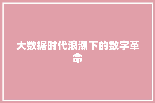 大数据时代浪潮下的数字革命