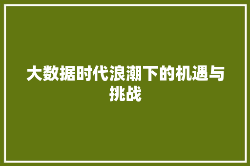 大数据时代浪潮下的机遇与挑战