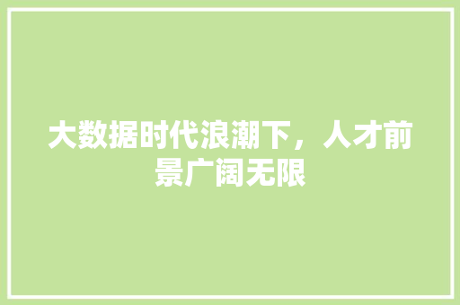 大数据时代浪潮下，人才前景广阔无限