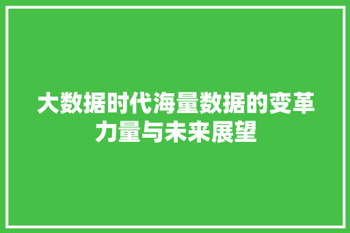 大数据时代海量数据的变革力量与未来展望