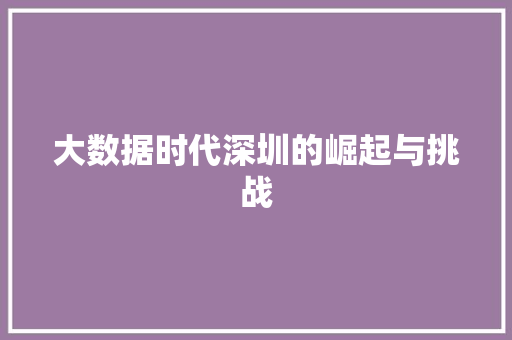大数据时代深圳的崛起与挑战
