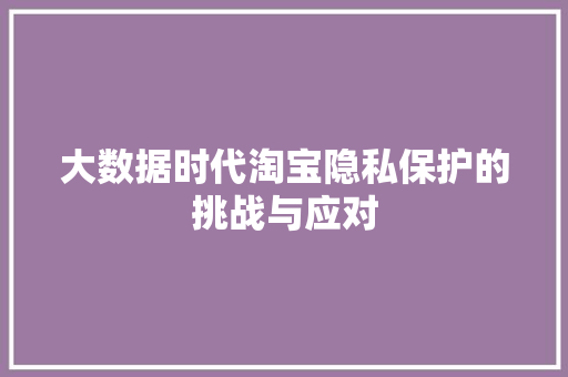 大数据时代淘宝隐私保护的挑战与应对