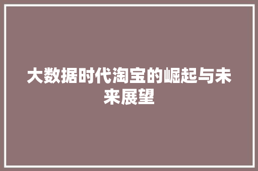 大数据时代淘宝的崛起与未来展望