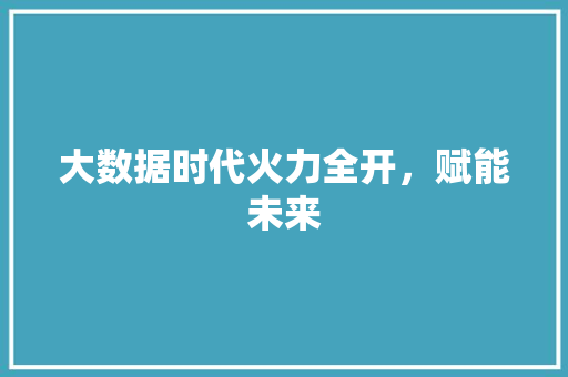 大数据时代火力全开，赋能未来