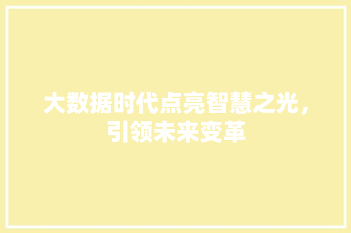大数据时代点亮智慧之光，引领未来变革