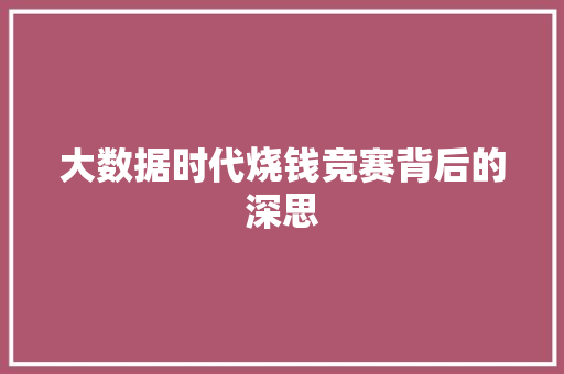 大数据时代烧钱竞赛背后的深思