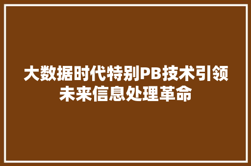 大数据时代特别PB技术引领未来信息处理革命
