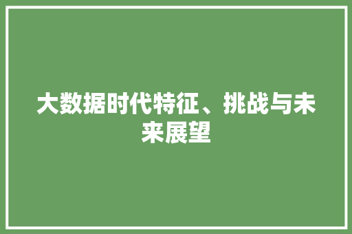 大数据时代特征、挑战与未来展望