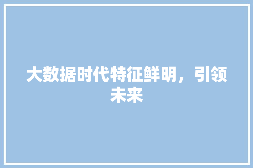 大数据时代特征鲜明，引领未来