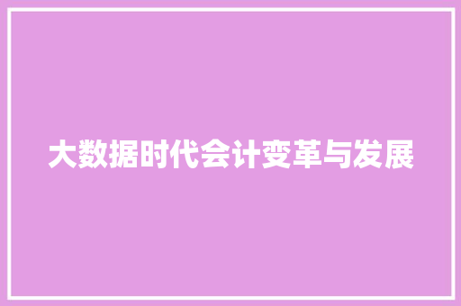 大数据时代会计变革与发展