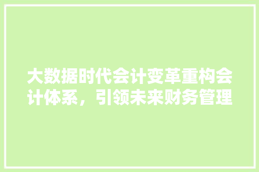 大数据时代会计变革重构会计体系，引领未来财务管理