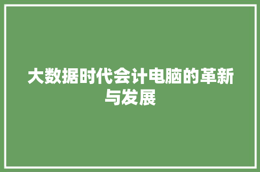 大数据时代会计电脑的革新与发展
