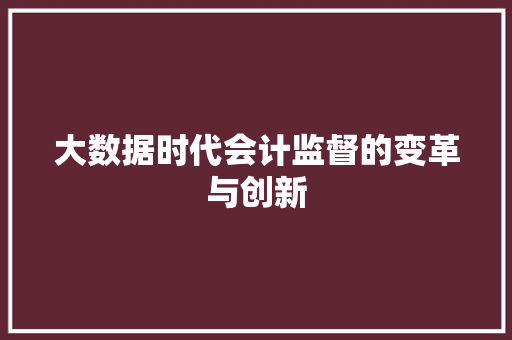 大数据时代会计监督的变革与创新