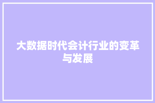 大数据时代会计行业的变革与发展