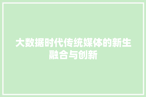 大数据时代传统媒体的新生融合与创新