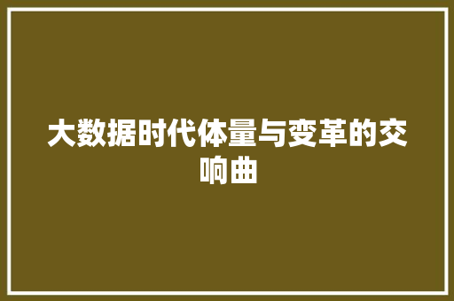 大数据时代体量与变革的交响曲