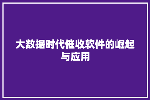 大数据时代催收软件的崛起与应用
