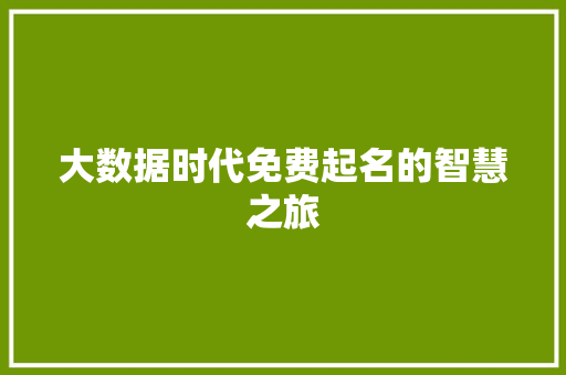 大数据时代免费起名的智慧之旅