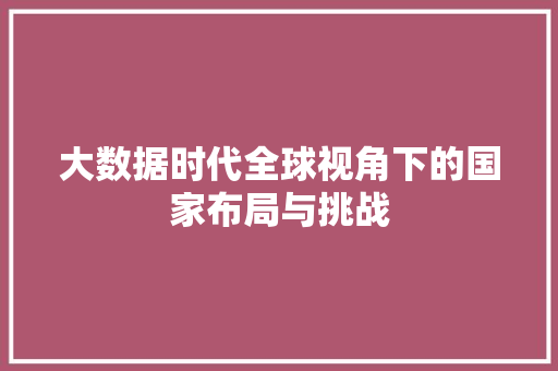 大数据时代全球视角下的国家布局与挑战