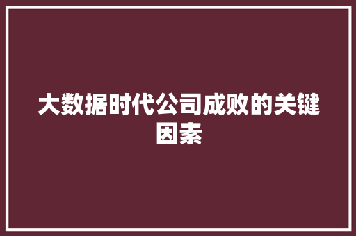 大数据时代公司成败的关键因素