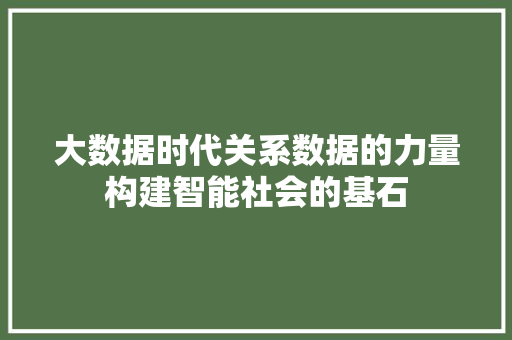 大数据时代关系数据的力量构建智能社会的基石