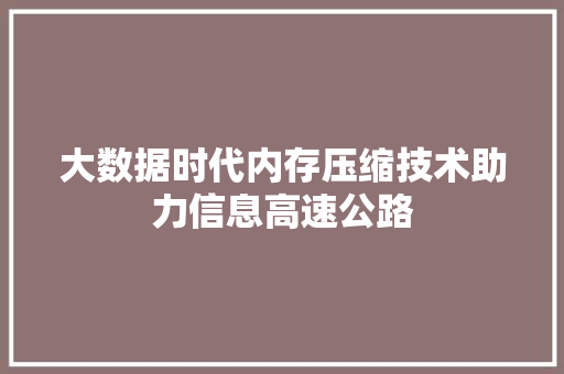 大数据时代内存压缩技术助力信息高速公路