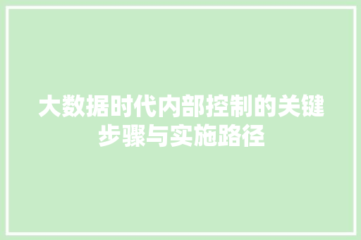 大数据时代内部控制的关键步骤与实施路径