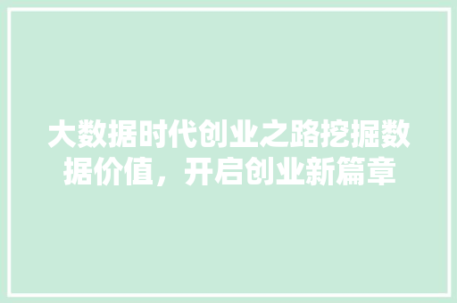 大数据时代创业之路挖掘数据价值，开启创业新篇章