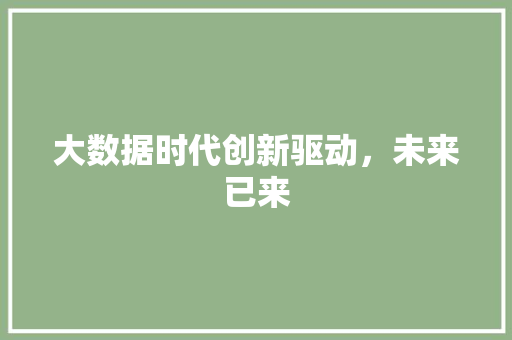 大数据时代创新驱动，未来已来