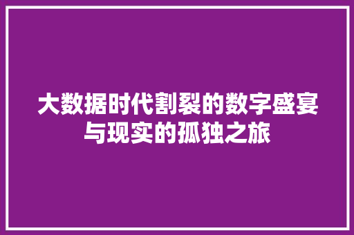 大数据时代割裂的数字盛宴与现实的孤独之旅