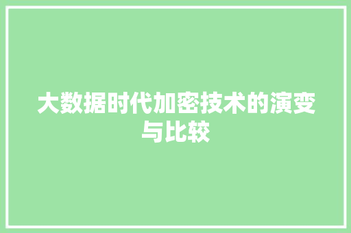 大数据时代加密技术的演变与比较