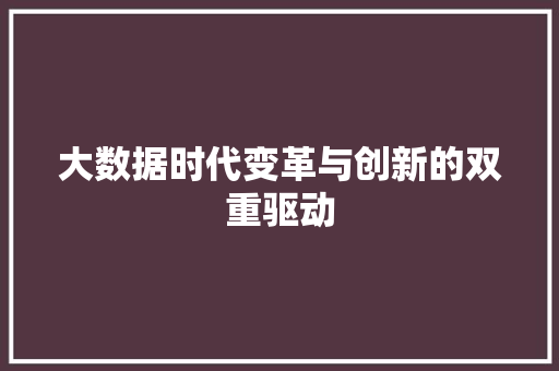 大数据时代变革与创新的双重驱动