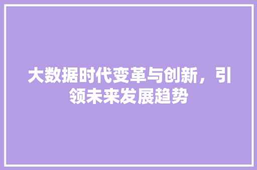 大数据时代变革与创新，引领未来发展趋势 项目报告