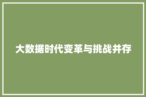 大数据时代变革与挑战并存