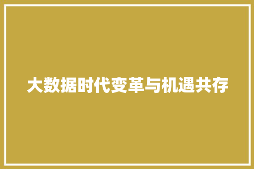 大数据时代变革与机遇共存