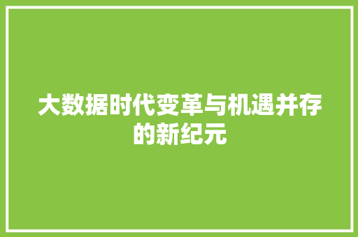 大数据时代变革与机遇并存的新纪元