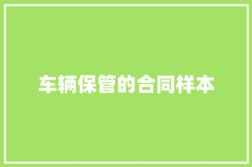 营销步骤分析,探寻成功企业的方法之路 缓存Redis