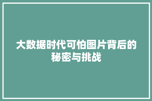 大数据时代可怕图片背后的秘密与挑战