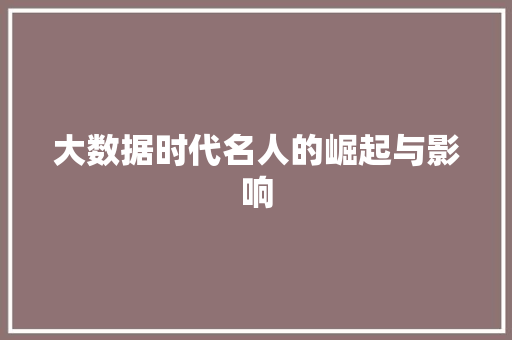 大数据时代名人的崛起与影响