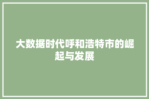 大数据时代呼和浩特市的崛起与发展
