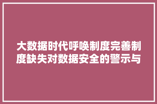 大数据时代呼唤制度完善制度缺失对数据安全的警示与反思
