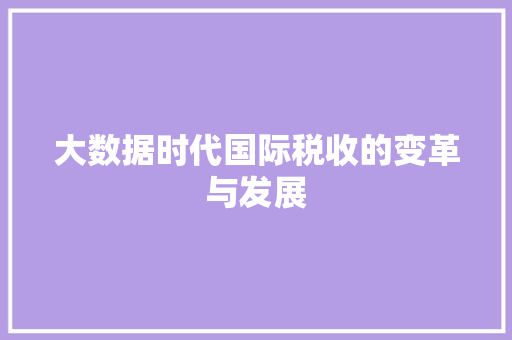 大数据时代国际税收的变革与发展