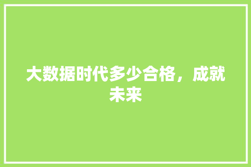 大数据时代多少合格，成就未来