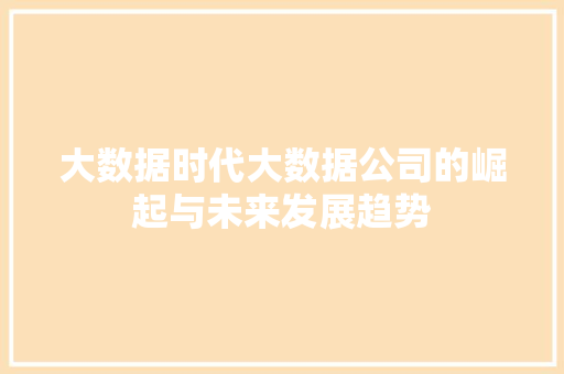 大数据时代大数据公司的崛起与未来发展趋势
